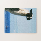 Llama at Lands End, Cornwall Puzzle (Horizontal)