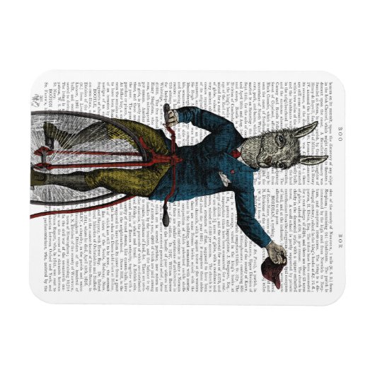 Llama auf Bike Magnet (Horizontal)