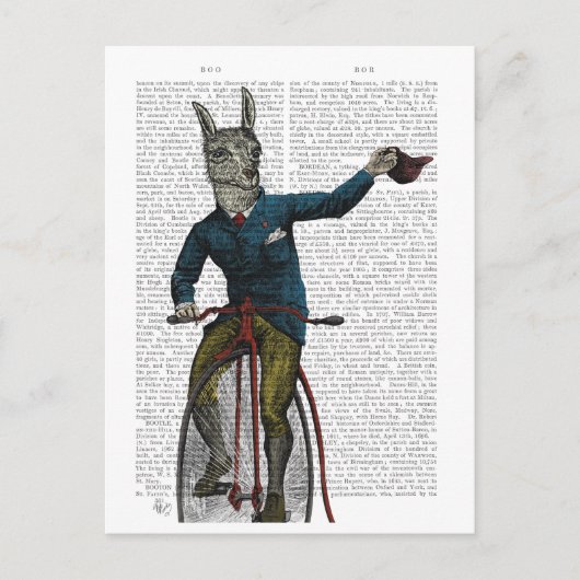 Llama auf Bike Postkarte (Vorderseite)