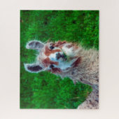 Llama auf einem Bauernhof, Jigsaw Puzzle (Vertikal)
