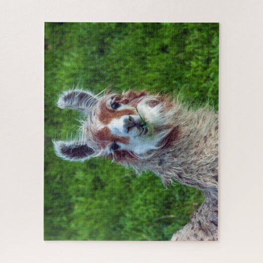 Llama auf einem Bauernhof, Jigsaw Puzzle (Vertikal)