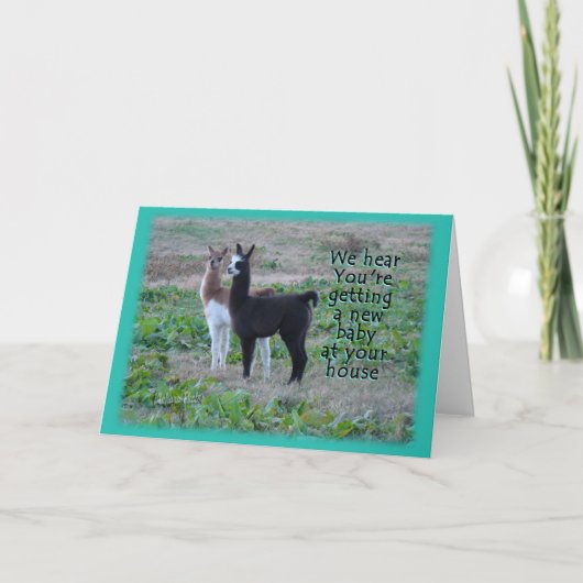 Llama Baby Card Karte (Vorderseite)