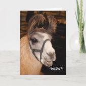 Llama Birthday Card Karte (Vorderseite)