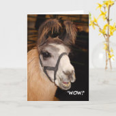 Llama Birthday Card Karte (Gelbe Blume)