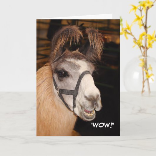 Llama Birthday Card Karte (Gelbe Blume)