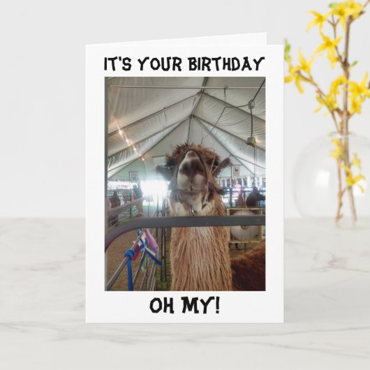 LLAMA BIRTHDAY KARTE SPRECHEN BRINGEN SIE MICH AUS (Gelbe Blume)
