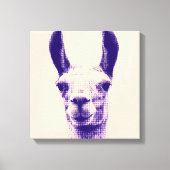 Llama Canvas Print Leinwanddruck (Vorderseite)