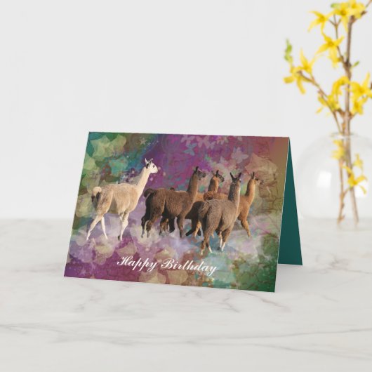 Llama cloud fantasy - White and Brown Llamas Karte (Gelbe Blume)