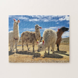 Llama-Crew Puzzle