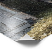 Llama, den Tag grüßen Fotodruck (Ecke)