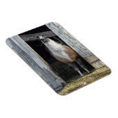 Llama, den Tag grüßen Magnet (Rechte Seite)