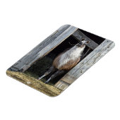 Llama, den Tag grüßen Magnet (Linke Seite)