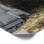 Llama, den Tag grüßen Poster (Ecke)