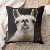 Llama Drama – Ich hab dich im Blick Kissen (Decke)