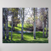 Llama durch Bäume Poster (Vorne)