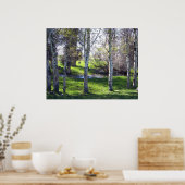 Llama durch Bäume Poster (Küche)