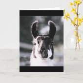 Llama Ears Karte (Gelbe Blume)