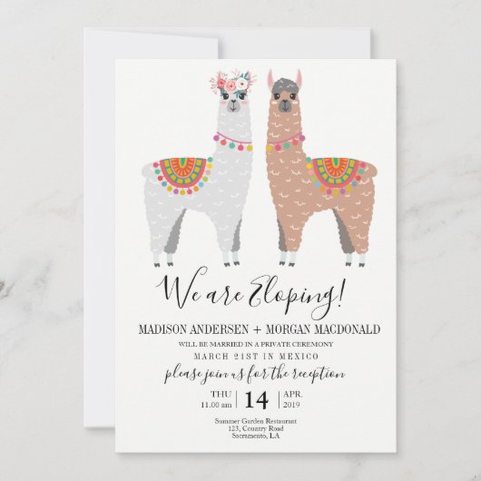 Llama Elopement Empfang Einladung (Vorderseite)