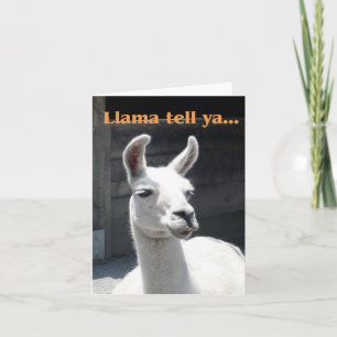 "Llama erzähl Ya" lächelnde Llama leere Notizkarte Karte
