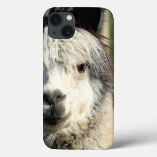 Llama Face Case-Mate iPhone Hülle (Rückseite)