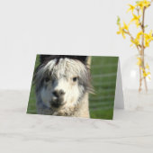 Llama Face Grußkarte Karte (Gelbe Blume)