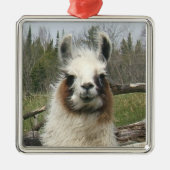 LLAMA FACE SILBERNES ORNAMENT (Vorne)