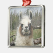 LLAMA FACE SILBERNES ORNAMENT (Links)