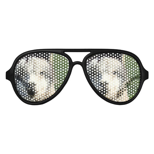 Llama Face Sonnenbrille (Vorderseite)