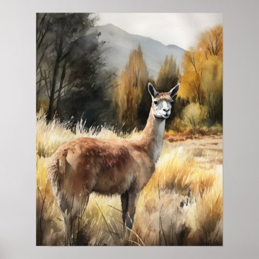 Llama Farm Animal Art Print Poster (Vorne)