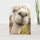Llama Funny Birthday Card Karte (Vorderseite)