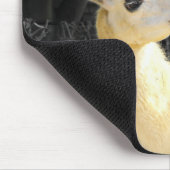 Llama fütternd mousepad (Ecke)