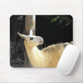 Llama fütternd mousepad (Mit Mouse)