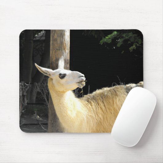 Llama fütternd mousepad (Mit Mouse)