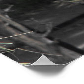 Llama fütternd poster (Ecke)