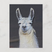 Llama-Gesicht Tier Kunst Personalized Postkarte (Vorderseite)