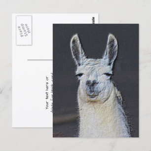 Llama-Gesicht Tier Kunst Personalized Postkarte