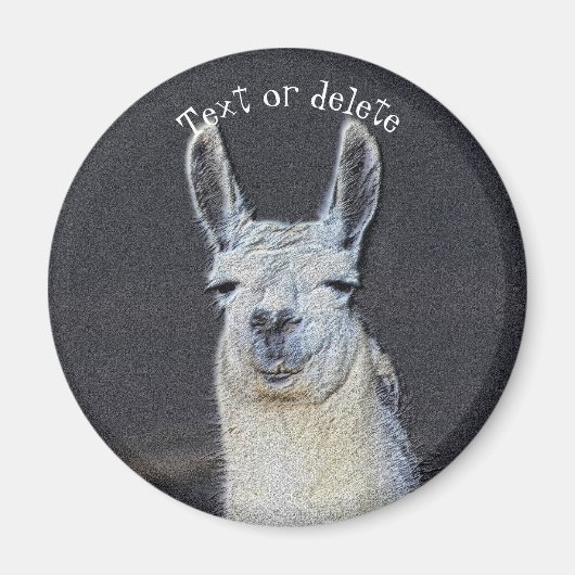 Llama-Gesicht Tierkunst Personalisiert Magnet (Vorne)