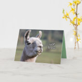 Llama Get Well |Get Well bald Llama Karte (Gelbe Blume)