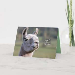 Llama Get Well Get Well bald Llama Karte