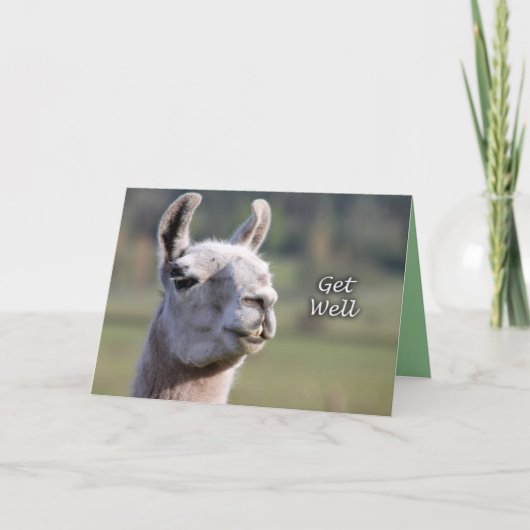 Llama Get Well |Get Well bald Llama Karte (Vorderseite)