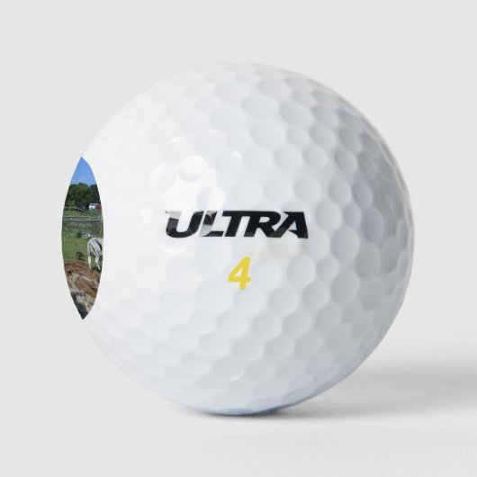 Llama Golfball (Logo)
