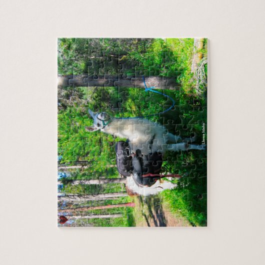 Llama Idaho Puzzle (Vertikal)
