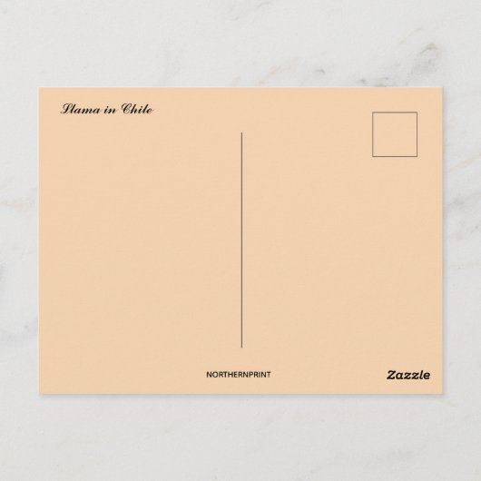Llama im Chile Postkarte (Rückseite)