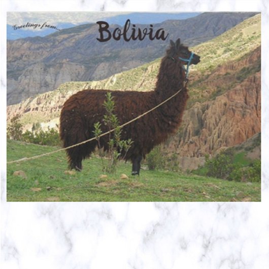 Llama im Tal der Soul Bolivien Postkarte