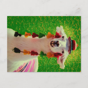 Llama in Chiloe-Chile mit Ornamenten Ankündigungspostkarte