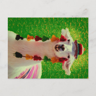 Llama in Chiloe-Chile mit Ornamenten Ankündigungspostkarte