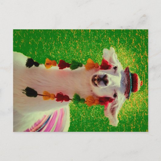 Llama in Chiloe-Chile mit Ornamenten Ankündigungspostkarte (Vorderseite)