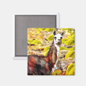 Llama in den Anden Bergen Peru Magnet (Vorderseite/Rückseite)