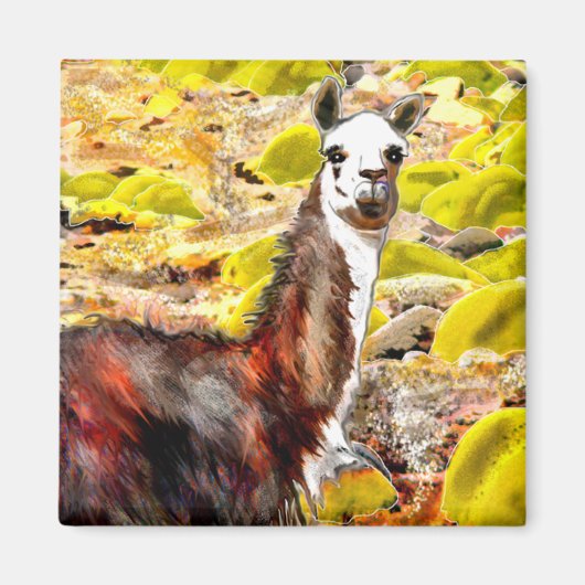 Llama in den Anden Bergen Peru Magnet (Vorne)