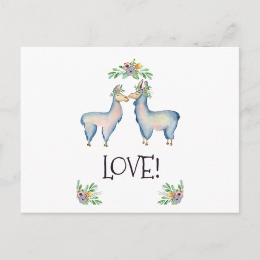 Llama ist in Liebe Postkarte (Vorderseite)